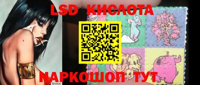 стафф Краснознаменск